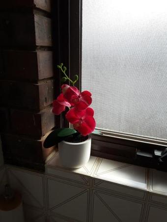 Josie's Holiday Apartments