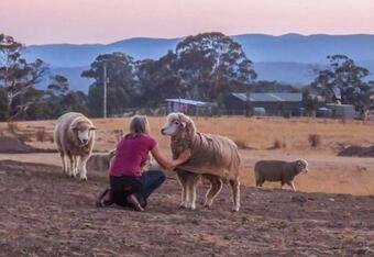 Bed & Breakfast Rooks Edge