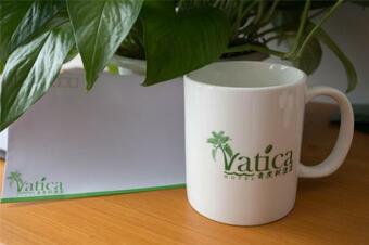 Hotel Vatica Hefei Feixi County Southwest Bus Station