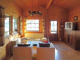 Modern Holiday Home In Eschede Near Forest