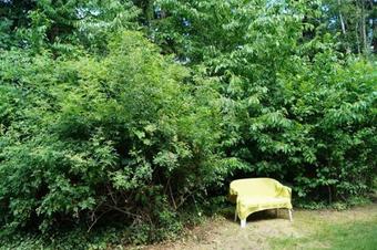 Hostal G�stehaus Am Steinwald