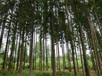 Spacious Holiday Home In Kappel Germany With Garden