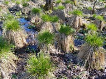 Agroturismo Funny-farm