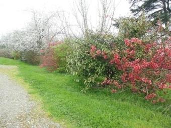 House Maison Ind�pendante Messegu�