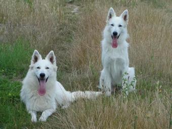 Hostal Le Domaine De La Lorien