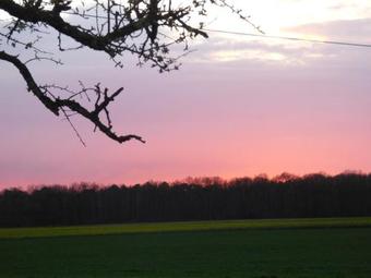 Bed & Breakfast A L'or�e Des Champs