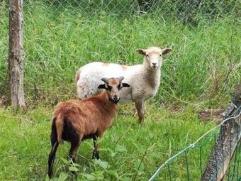 House Les Roses Tr�mi�res 4