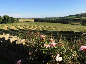 The Bothy Self Catering Accommodation