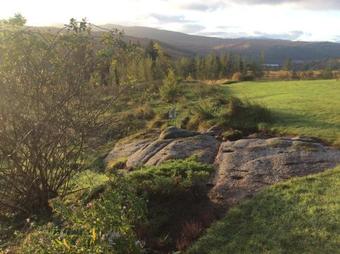 Bed & Breakfast Heatherbank