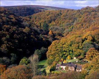 Posada Tarr Farm Inn