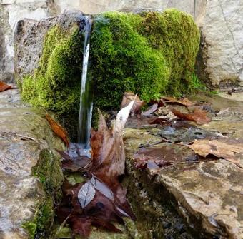 Hostal Arhontiko Kefalari