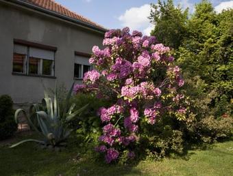 Hostal Guest House Kapetanova Ku?a