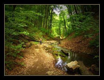 Hostal Het�nyi Apartmanh�z �s Birtok