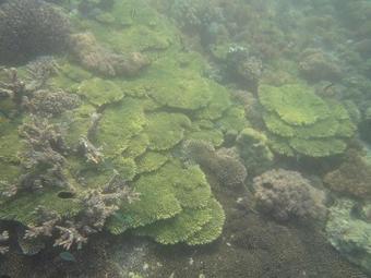 Layar Beach Bungalow