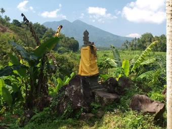 Posada Padoba Mimpi House