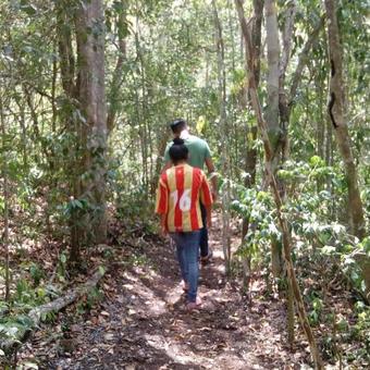 Bed & Breakfast Ecohabitat