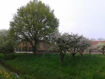 B&B Louisehoeve