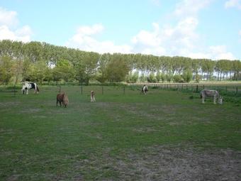 Apartamento Crea-trends Vacations