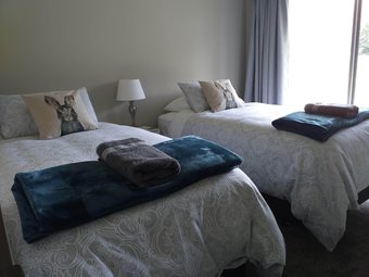 Alpine Views Burkes Pass