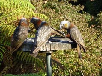 Glendaruel Bed And Breakfast