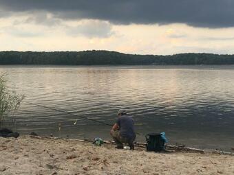 Apartament Pod Kasztanami