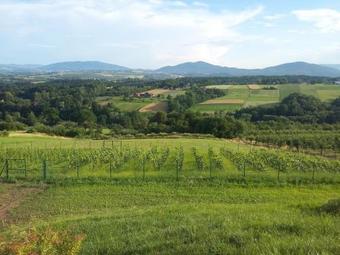 Fantastic View Apartments Beskid Mountains