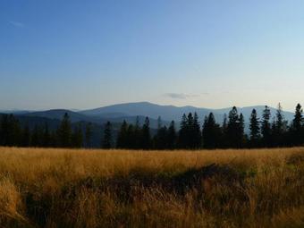 Hostal Ja?owc�wka Centrum Aktywno?ci Psychoruchowej