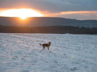 Hostal Rezydencja Terra Sudeta