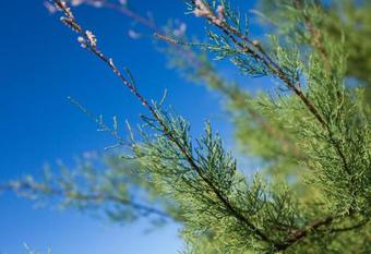 Bed & Breakfast Ocean Breeze