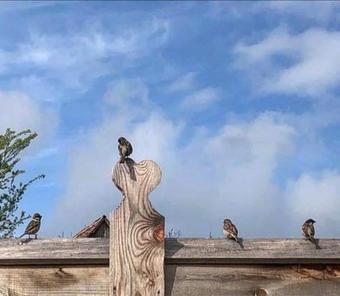 Agroturismo Casa Bunicii Maria