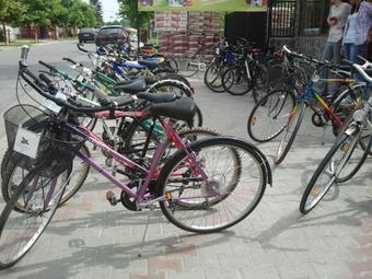 Hostal Pensiunea Bujorul