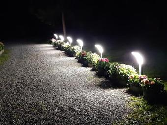 Hostal Szilvia Vend�gh�z