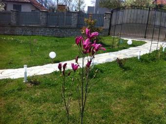 Hostal Pensiunea Iulia