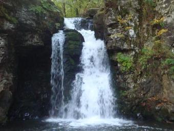 Hostal Pensiunea Adi Sapinta