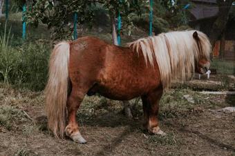 Hotel-restaurant Milenium