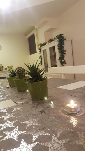 Hostal Vila Lola
