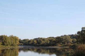 Apartments Agrafenina Puston