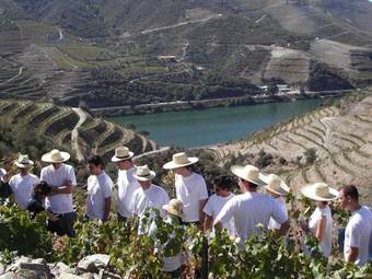 Hotel Quinta Nova Winery House - Relais & Ch�teaux