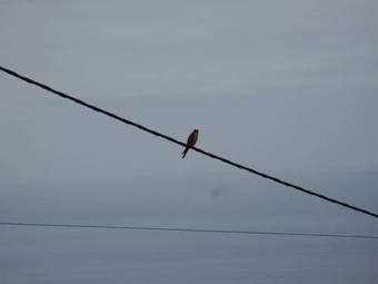 Hostal Casa Nossa Senhora Da Conceicao