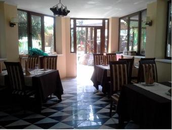 Hotel Oazis In The Forest