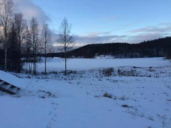 Lodge Medvezhiy Kamen