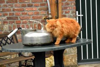 G�tes De Chev�mont