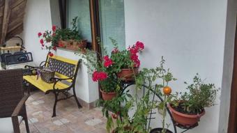 Hostal Darja Guesthouse