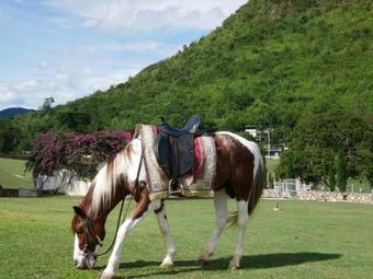 Hotel Swiss Valley Hip Resort