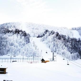 Hotel The Green Park Kartepe