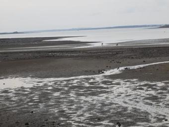 Sea Sky Coast Homestay