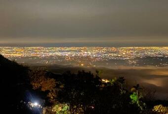 Starlight Forest B&B