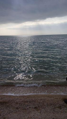 Hostal Guest House - Podgornaya 123