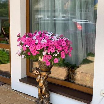 Posada Villa Exclusive