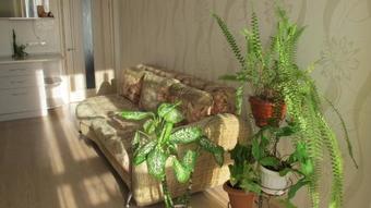 Apartamento ???? 1? ????????